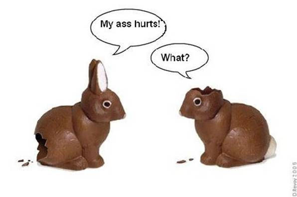 chocolate easter bunnies