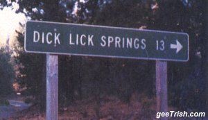 dick lick springs