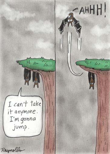 Bats
